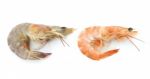 Shrimps On A White Background Stock Photo