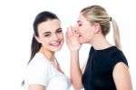 Young Girls Gossiping And Having Fun Stock Photo