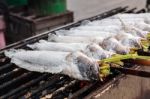 Grilled Fish Stock Photo