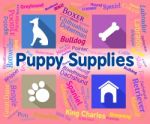 Puppy Supplies Indicates Merchandise Pets And Purebred Stock Photo