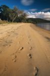 Adams Beach On Stradbroke Island, Queensland Stock Photo