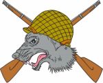 Grey Wolf Head World War 2 Helmet Drawing Stock Photo