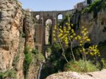 Ronda, Andalucia/spain - May 8 : View Of The New Bridge In Ronda Stock Photo