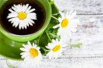 Chamomile Tea Stock Photo