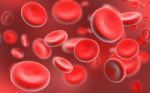 Blood Cells Stock Photo