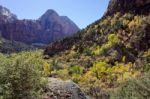 Beautiful Valley In Zion National Park Stock Photo