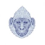 Cat Ba Langur Head Mandala Stock Photo