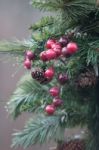 Mistletoe On Lamp Post Stock Photo