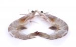 Shrimp Isolated On White Background Stock Photo