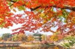 Gyeongbokgung Palace In Autumn,south Korea Stock Photo