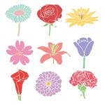 Colorful Flowers Illustration Stock Photo