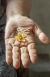 Elderly Hand With Supplement Stock Photo