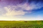 Sunny Rural Spring Landscape. Green Spring Farmland On Hills Stock Photo