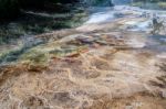 Mammoth Hot Springs Stock Photo