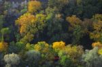 Autumn Scenery With Yellow, Green And Red Shinning Leaves In Fall In The Forest Stock Photo