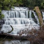 Liffey Falls In The Midlands Region, Tasmania Stock Photo