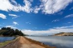 Otago Peninsula, Dunedin/new Zealand February 20 : The Otago Pen Stock Photo