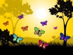 Butterflies Nature Shows Natural Trees And Outdoors Stock Photo