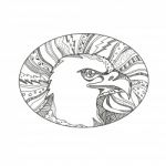 Bald Eagle Head Doodle Art Stock Photo