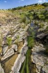 Beautiful Spring View Of A Countryside Stream Of Water Located In Portugal Stock Photo