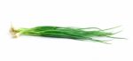 Beautiful Spring Onions On A White Background Stock Photo