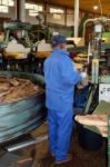 Sao Bras De Alportel, Algarve/portugal - March 9 : Cork Factory Stock Photo