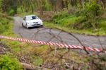 D. Raftery Driving Honda Civic Stock Photo