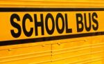 School Bus Stock Photo