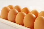 Chicken Eggs Stock Photo