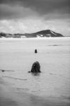 Pristine Beachfront At North Point, Moreton Island. Black And White Stock Photo