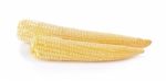 Baby Corn On A White Background Stock Photo