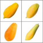 Papaya Collection Stock Photo