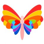 Colorful Butterfly  Stock Photo