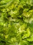 Background Vegetable Salad Stock Photo