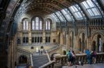 People Looking Over A Balcony At The Natural History Museum In L Stock Photo