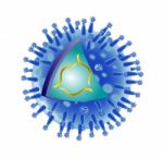 Flu Virus Structure Stock Photo