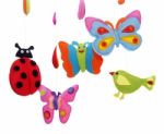 Butterflies, Ladybug And Bird Stock Photo