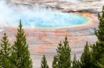 Grand Prismatic Spring, Yellowstone/usa - September 28 : People Stock Photo