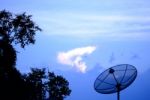 Satellite Tv With Tree In Thailand Stock Photo