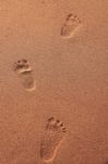 Footprint On Beach Stock Photo