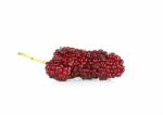 Mulberry Isolated On The White Background Stock Photo