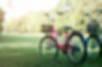 Bicycle On Lawn With Blurred Images Stock Photo