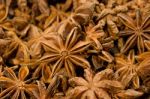 Closeup Of Anise Stars Stock Photo