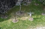 Scarecrow In A Garden In Citta Alta Bergamo Stock Photo