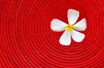 Flower On Rolled Red Rope Stock Photo