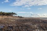 Low Tide Marshland Stock Photo