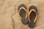 Flip Flop Shoes Stock Photo