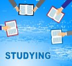 Studying Books Indicates Learning And Reading Literature Stock Photo