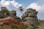 Scenic View Of Brimham Rocks In Yorkshire Dales National Park Stock Photo