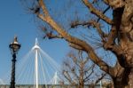 Sunlit London Plane Tree In Front Of Hungerford Bridge Stock Photo